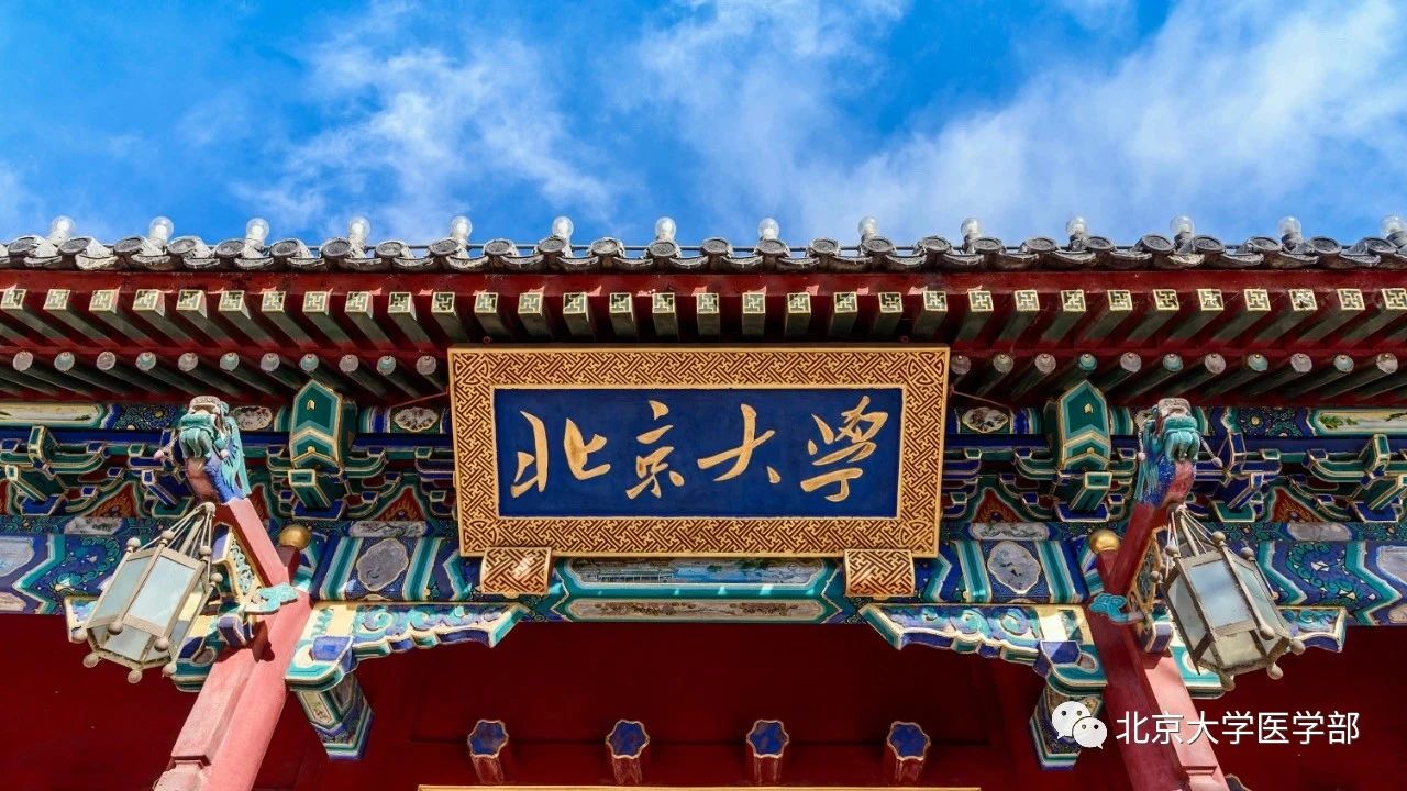 北京大学开展党员集体学习，学习贯彻习近平总书记关于加强党的作风建设的重要论述和中央八项规定精神
