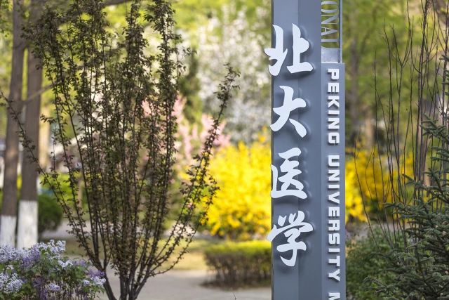 凝心聚力谋新篇 策马扬鞭启新程——3044永利集团app2026年教代会 工代会 战略研讨会召开