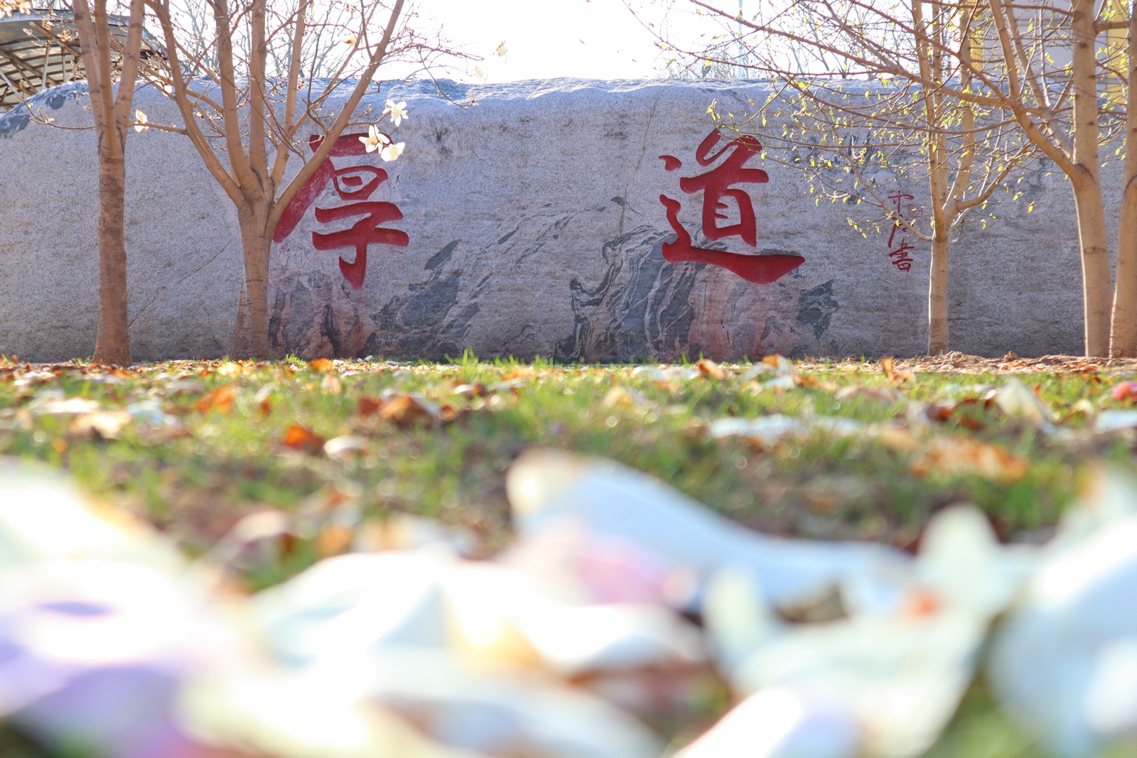第三届北大医学护理管理论坛举办